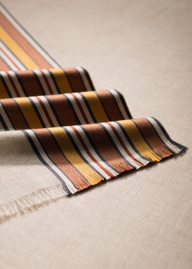 The Suitcase Stripe The Suitcase Stripe