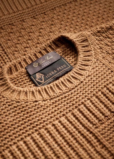 Vicuna Vicuna