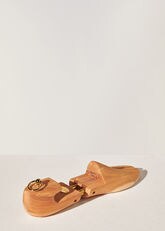 FAC8496_H203_THUMBNAIL