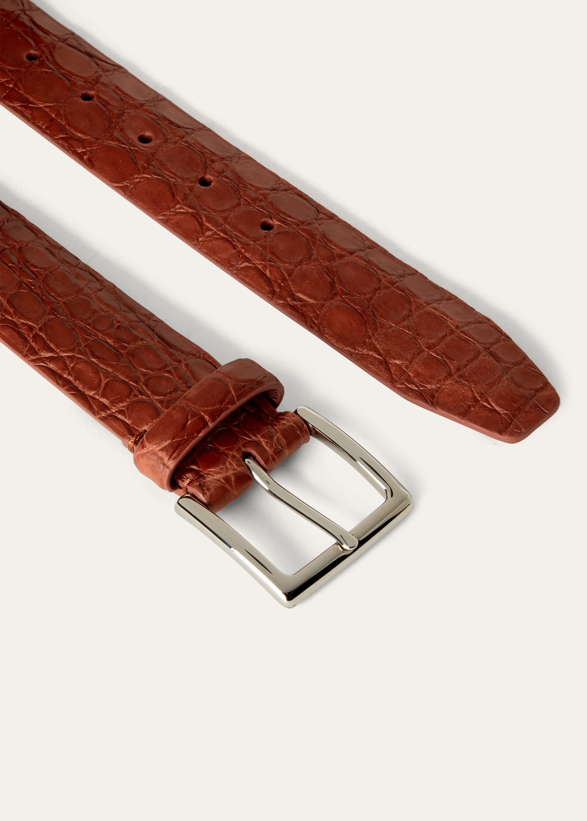 OWEN-BELT CAIMANO