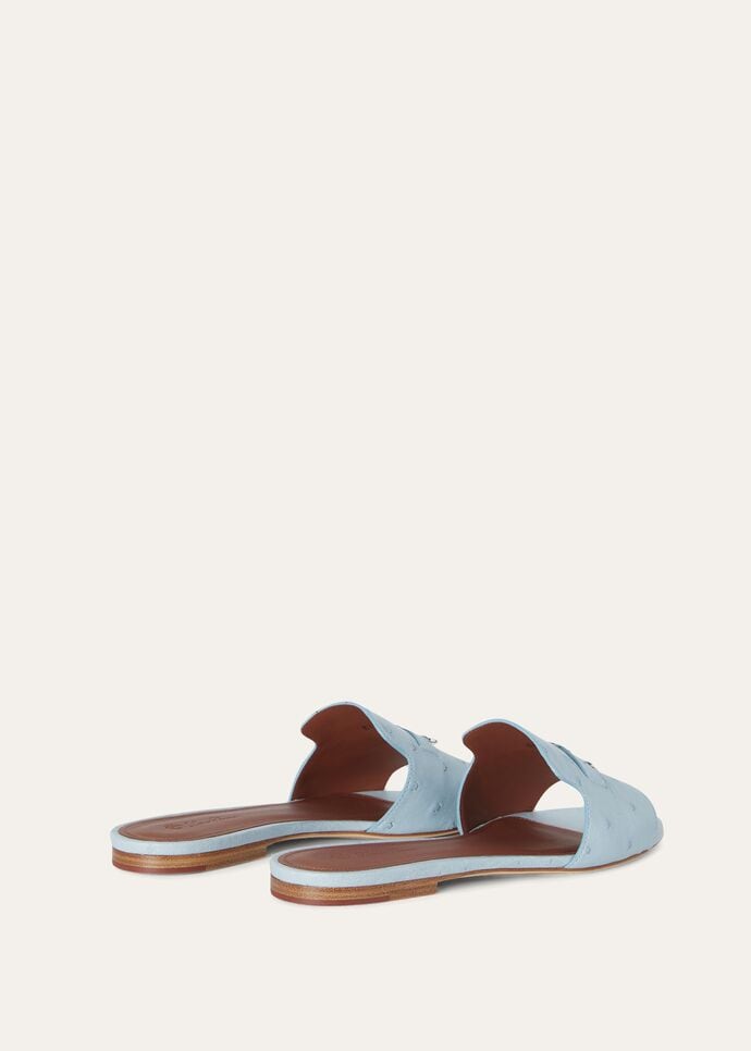 SUMMER CHARMS FLAT MULE OSTRICH_FAL0468_60DV_4