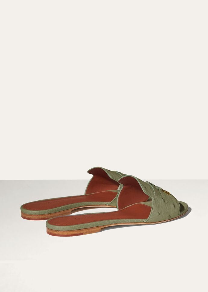 SUMMER CHARMS FLAT MULE OSTRICH_FAL0468_50KY_4