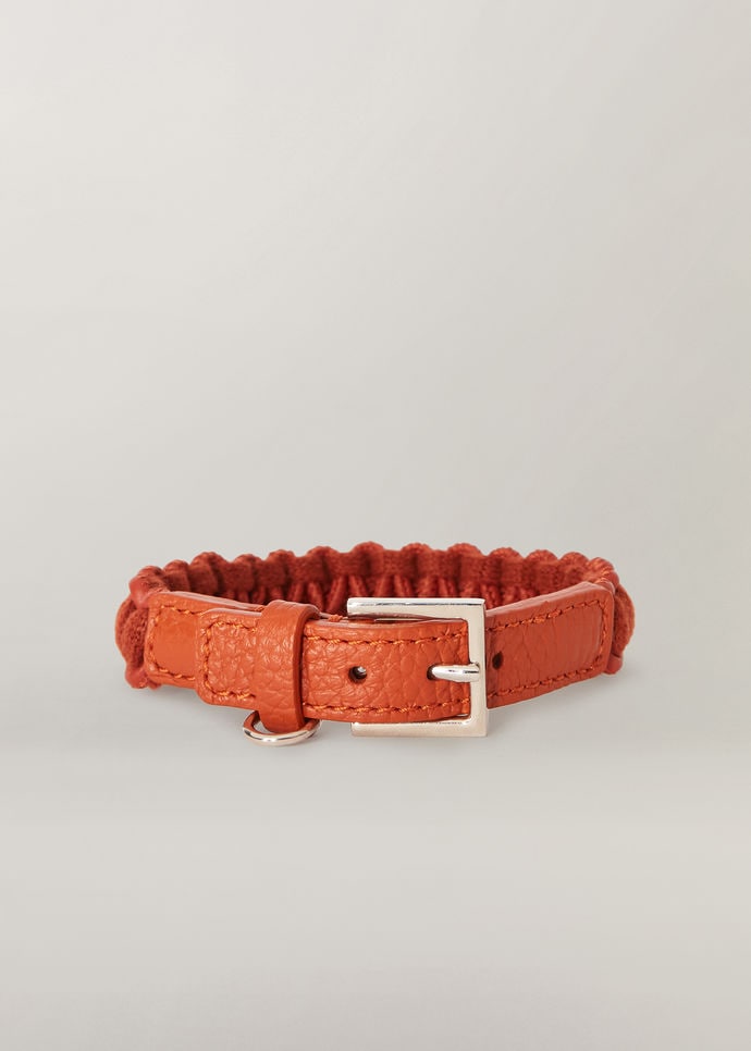 Kitty Collar