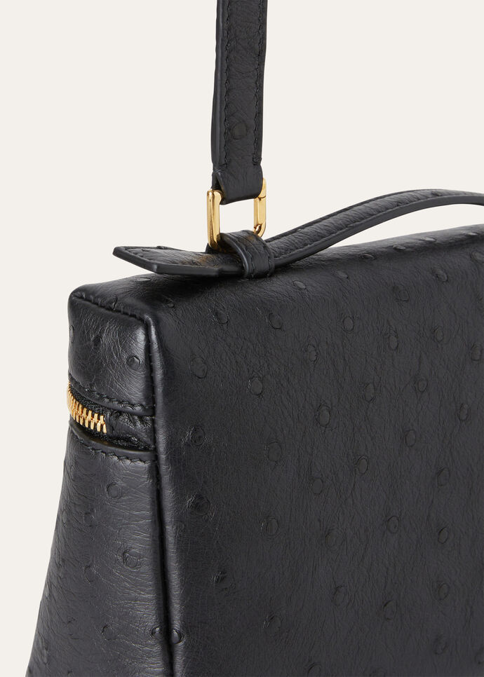 EXTRA POCKET L19 OSTRICH SADDLE FINISH            _FAN4199_804L_NR_4