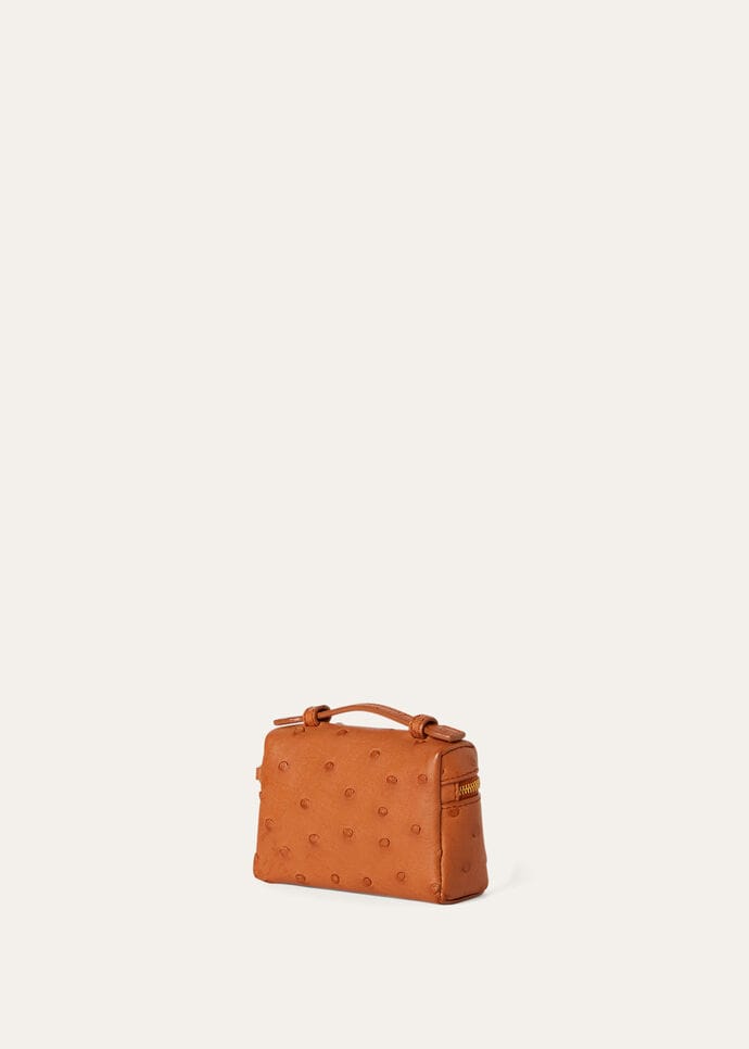 EXTRA POCKET CHARM OSTRICH SADDLE FINISH_FAO0674_E445_NR_2