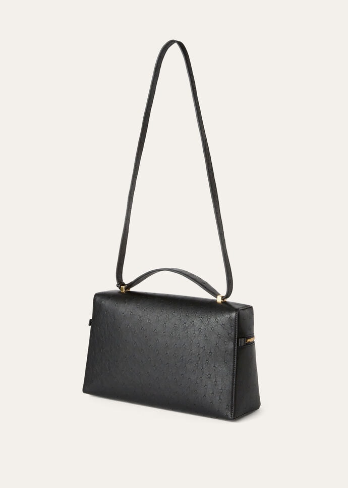 EXTRA BAG L27 OSTRICH SADDLE LEATHER              _FAO0975_804L_NR_3