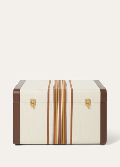 THE SUITCASE STRIPE TRUNK