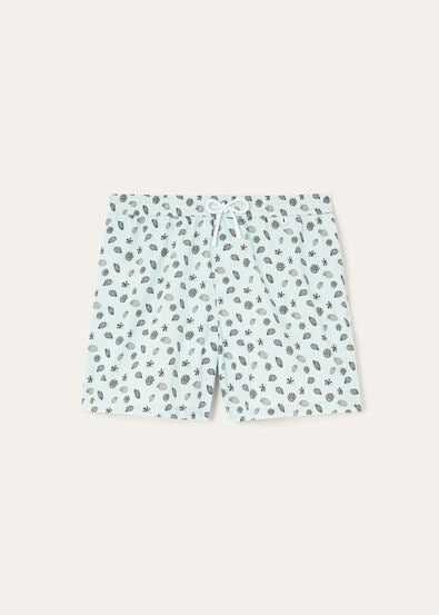 BAY SHORTS SEA SHELLS