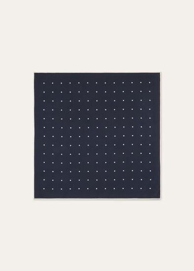 LORO PIANA POIS FOULARD 41 SILK TWILL