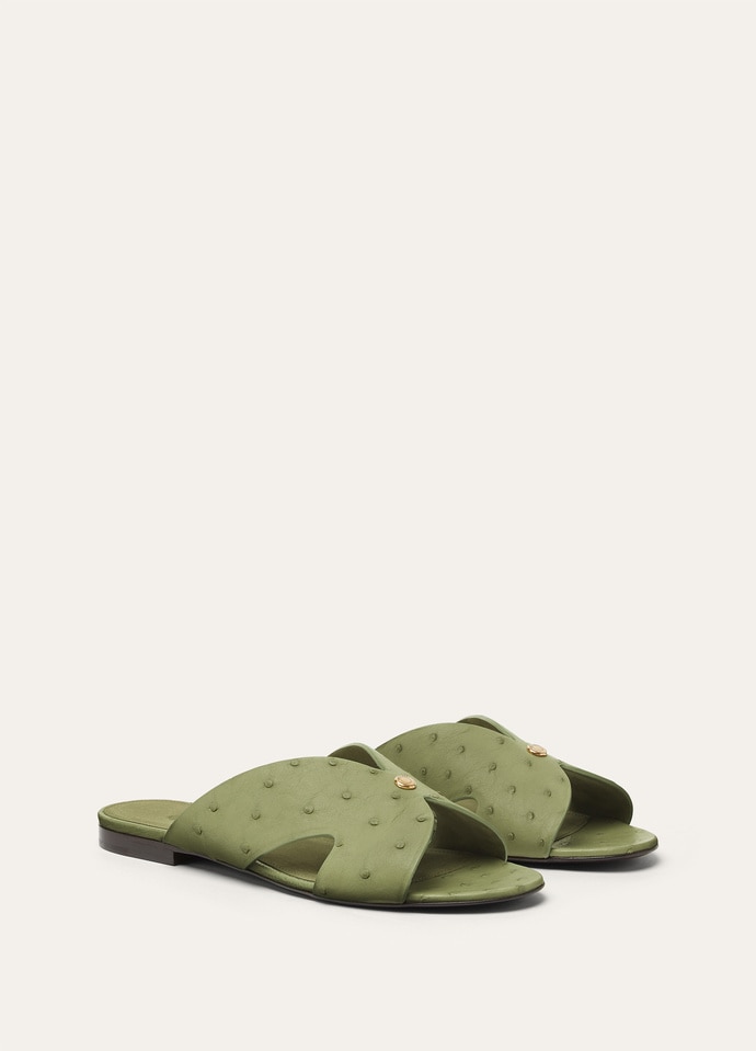VERA FLAT MULE OSTRICH_FAP4093_51BE_3