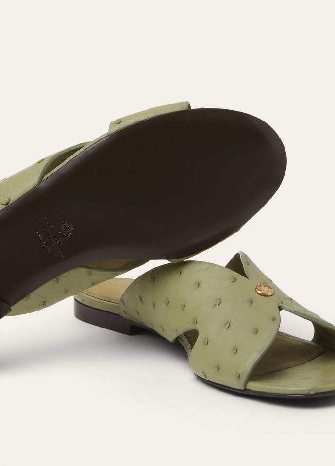 VERA FLAT MULE OSTRICH_FAP4093_51BE_5