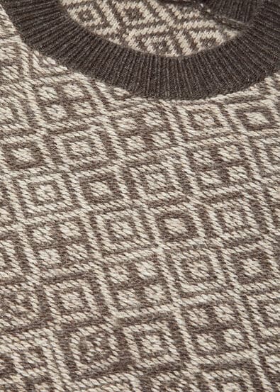 PAROO CREWNECK SWEATER CASH GG 7