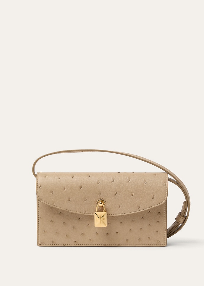 EXTRA POCHETTE OSTRICH SADDLE FINISH_FAQ1648_D0QB_NR_1