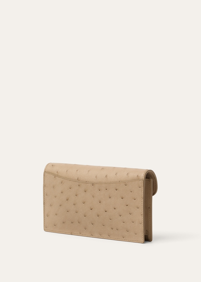 EXTRA POCHETTE OSTRICH SADDLE FINISH_FAQ1648_D0QB_NR_2