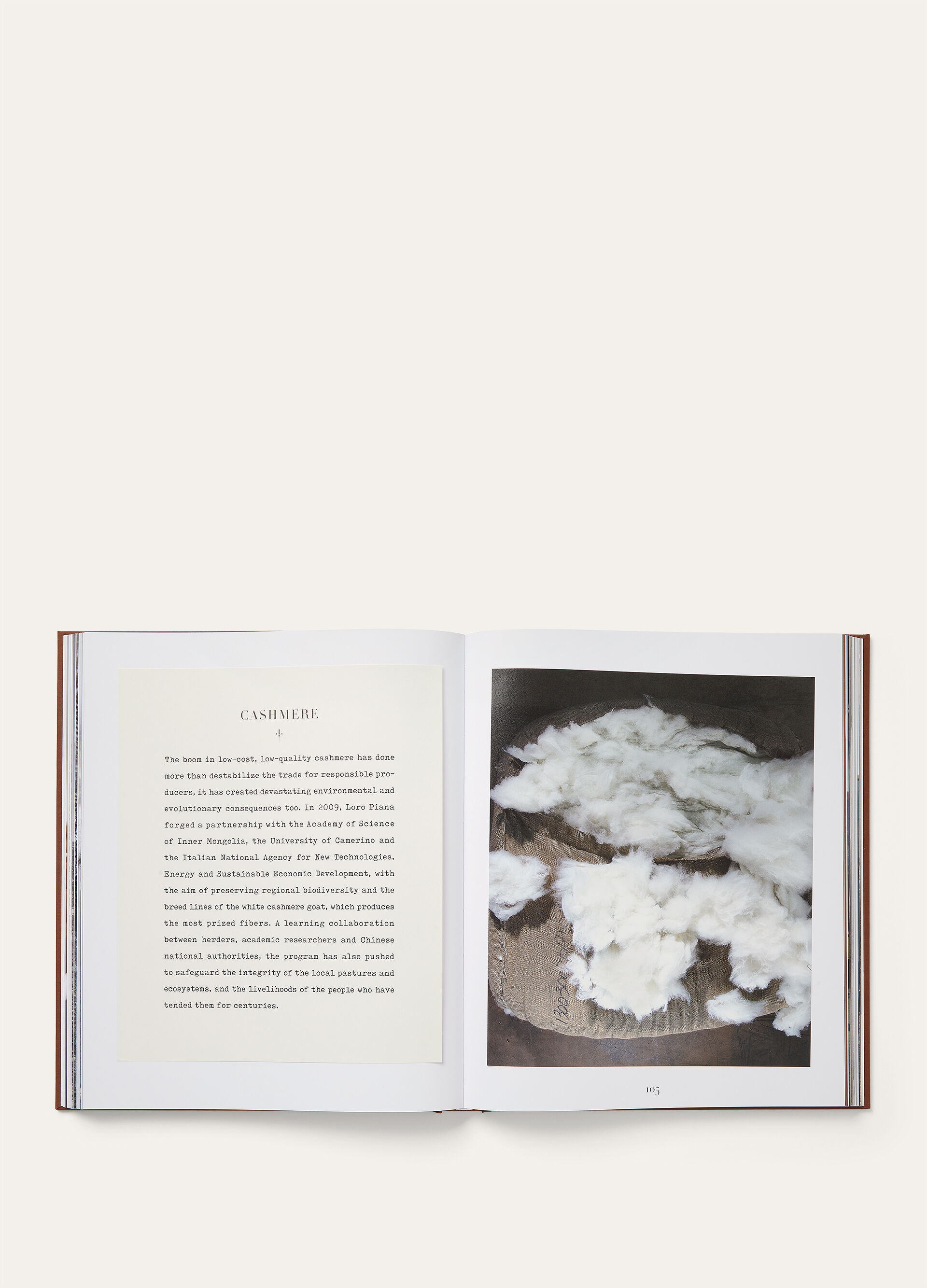 ASSOULINE BOOK COLLEZIONE