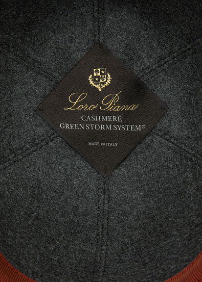 BABY  BASEBALL S CASH STORM