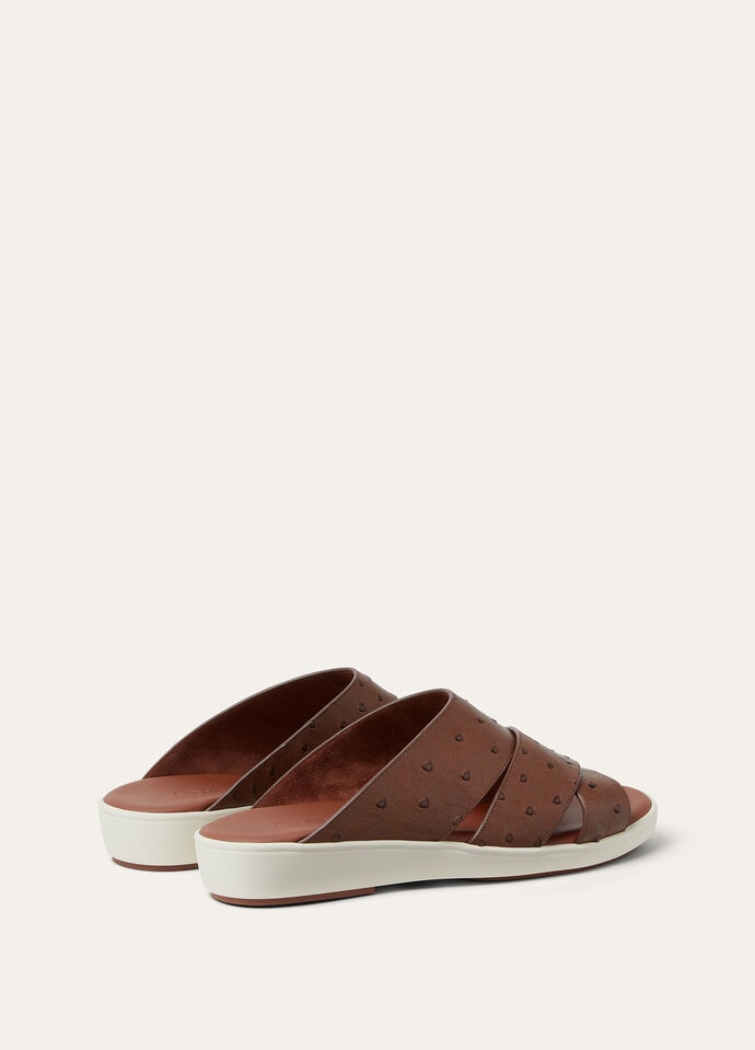 PALM SANDAL WALK OSTRICH_FAP7514_H02B_3