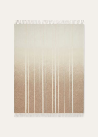PLAID SUITCASE STRIPE DEGRADE CASH