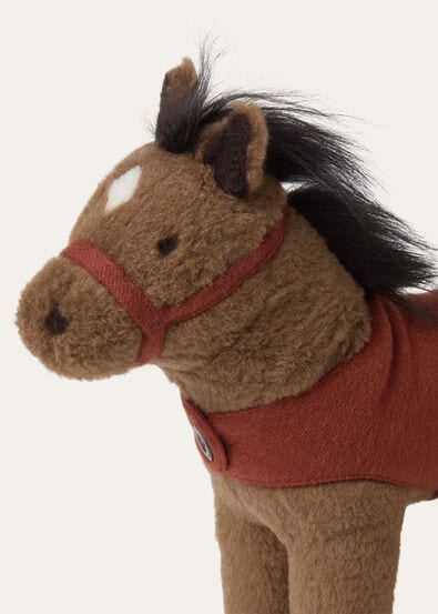CUDDLY HORSE S