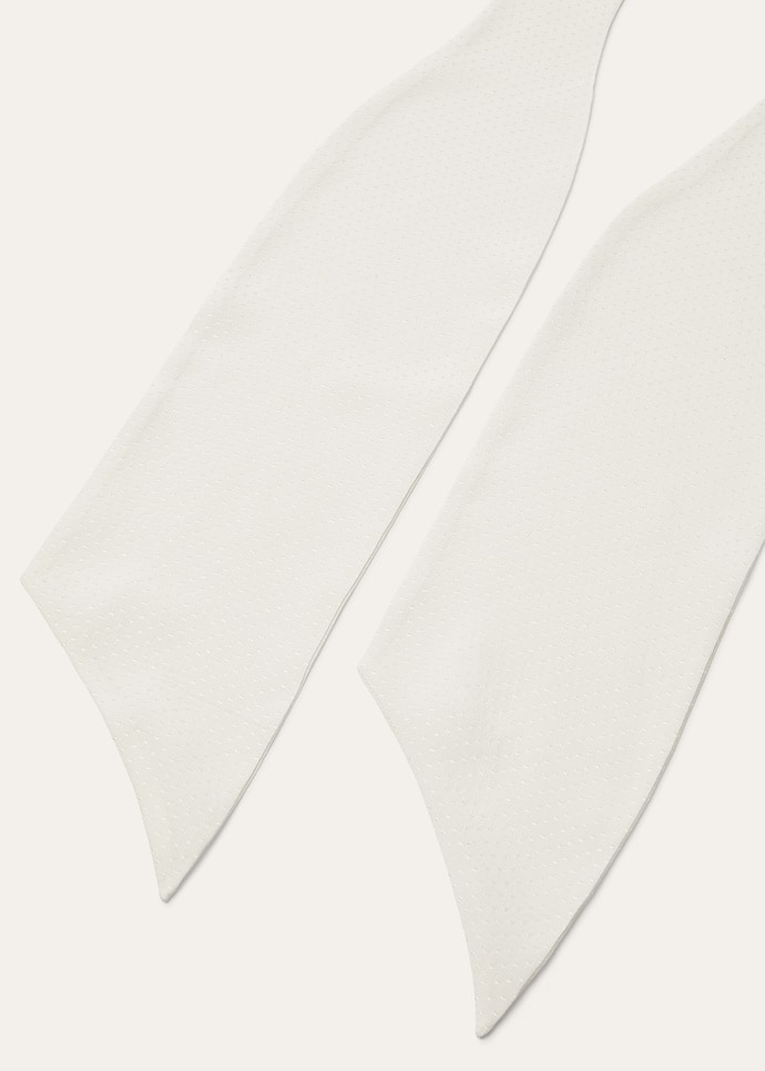 DUCAL TIE SCARF PLUMETIS SILK_FAQ2534_1000_NR_2