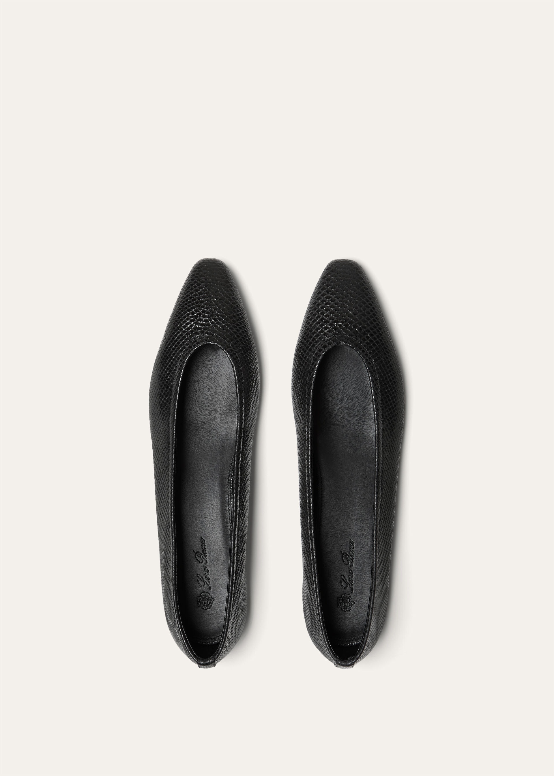 PRIMULA BALLERINA KARUNG