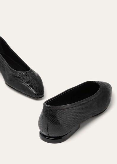 PRIMULA BALLERINA KARUNG