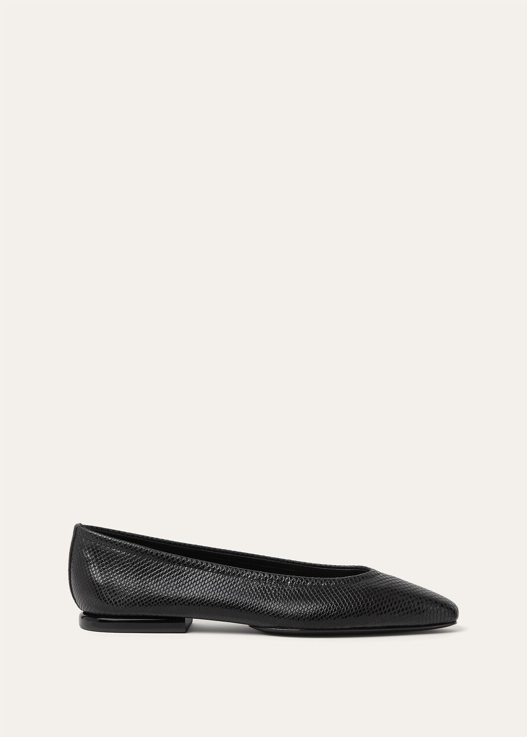 PRIMULA BALLERINA KARUNG