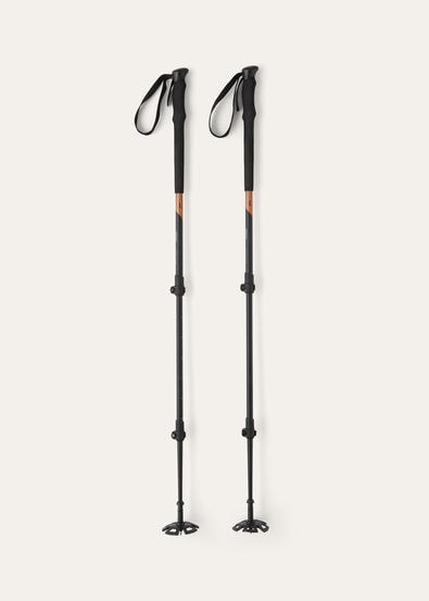 LORO PIANA ALPINE POLES